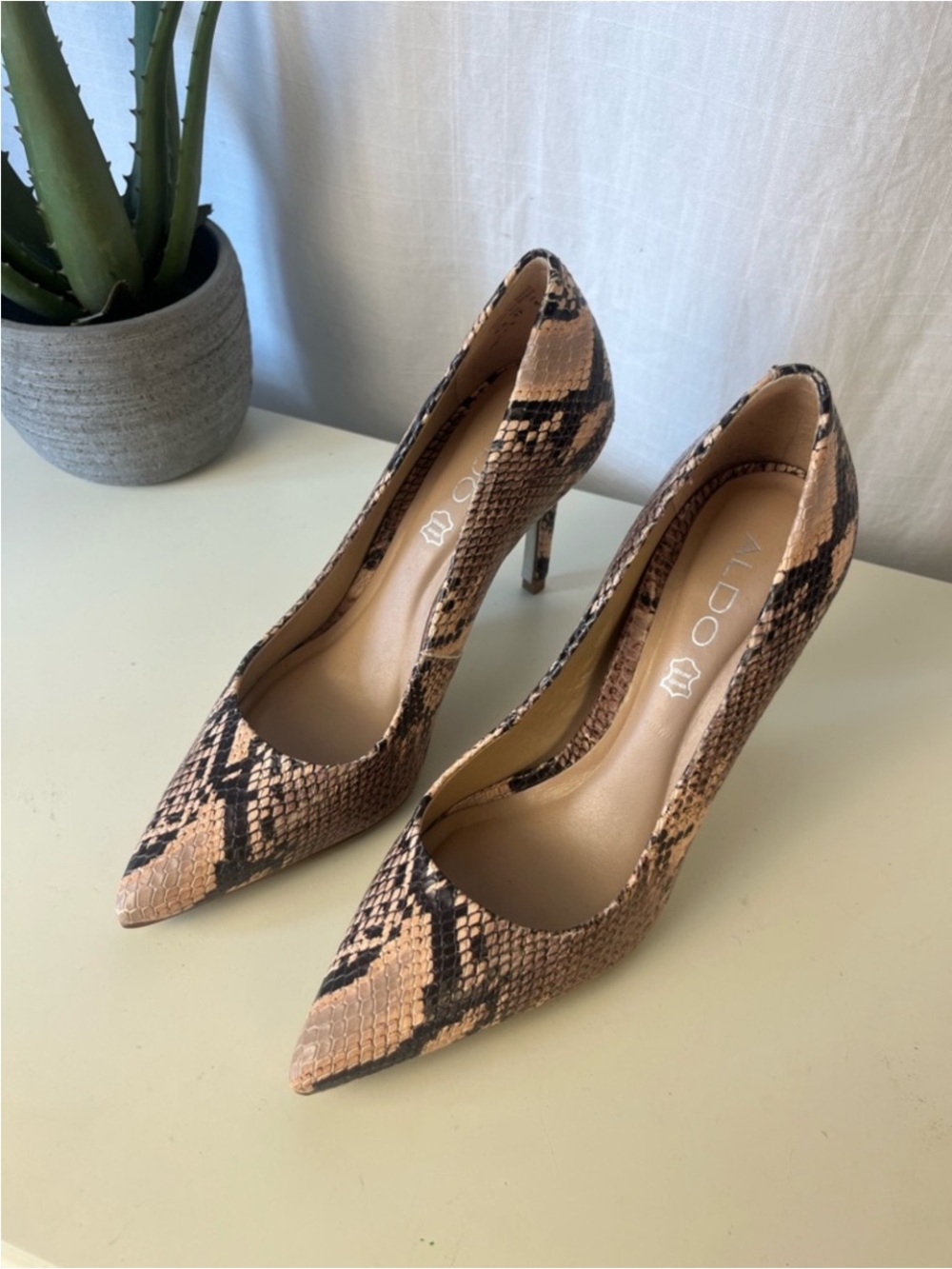 Aldo Snake-Print Pointed Toe Pumps in Tan and Black